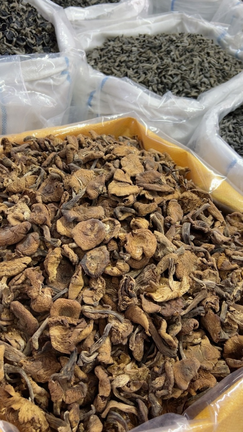 精品榛蘑片