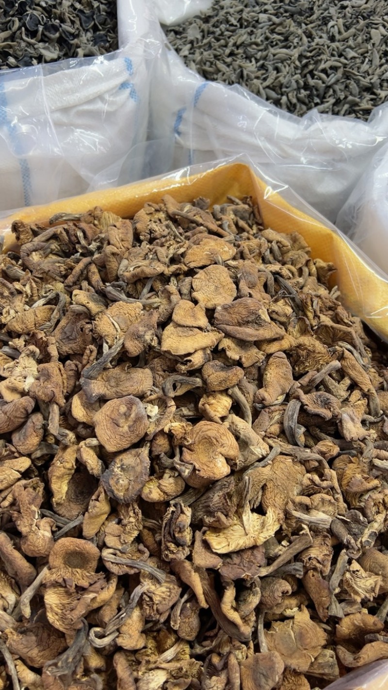 精品榛蘑片