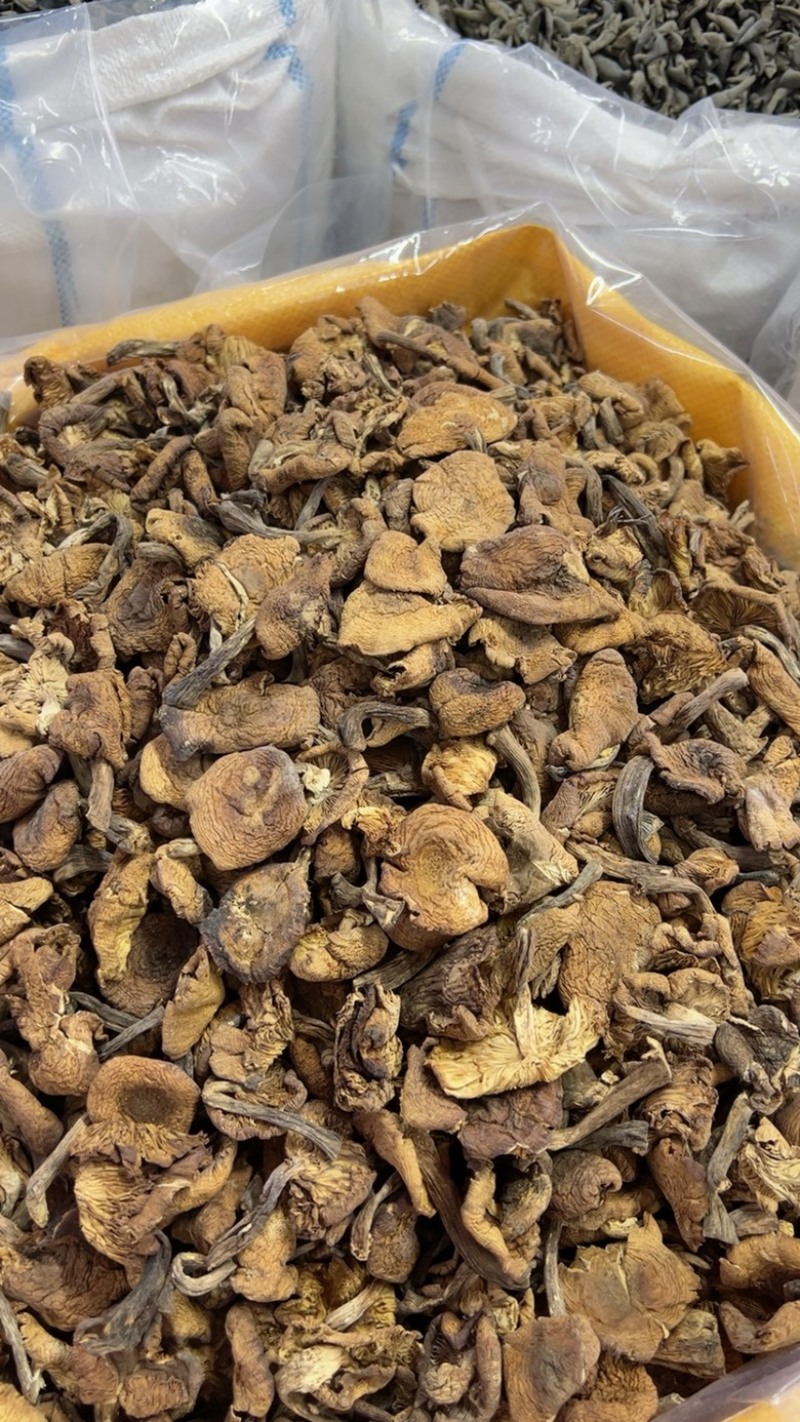 精品榛蘑片