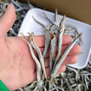 即食银针鱼，一手货源，货源充足，规格齐全
