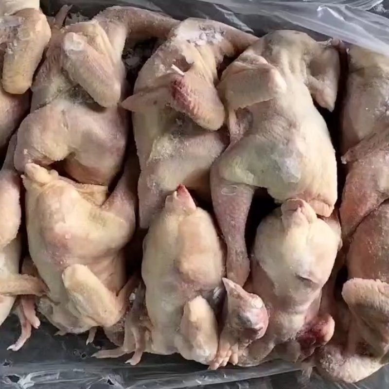 白条鸡，二级三黄鸡