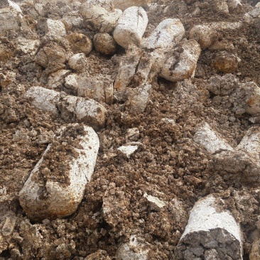 平菇优质菌渣，干净无杂质，改良土壤，有机肥的好佐料