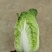 广西横县黄心白菜，大量上市，产地直发，量大从优