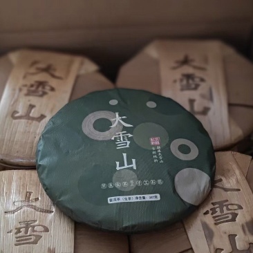 临沧勐库大雪山古树茶