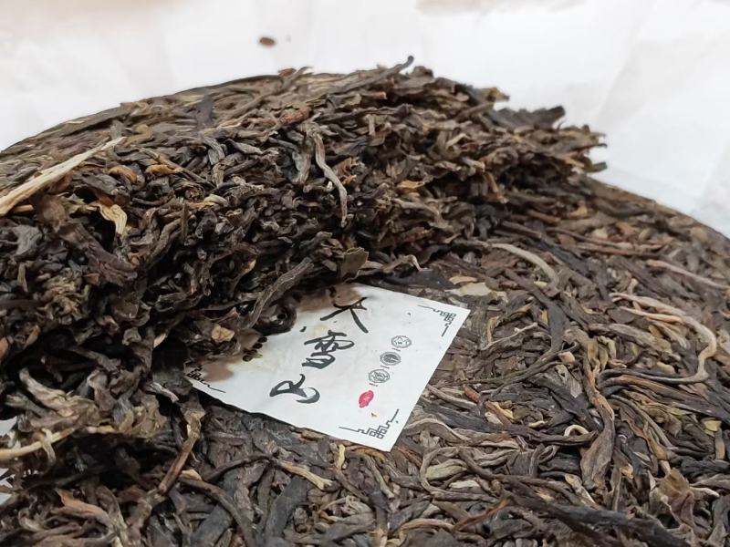 临沧勐库大雪山古树茶