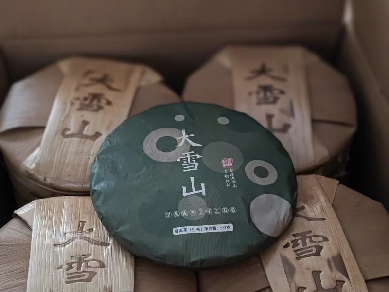 临沧勐库大雪山古树茶
