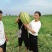 宁夏硒砂瓜包熟包甜中卫西瓜代办银川硒砂瓜