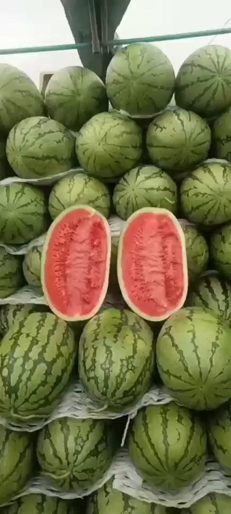 宁夏硒砂瓜包熟包甜中卫西瓜代办银川硒砂瓜