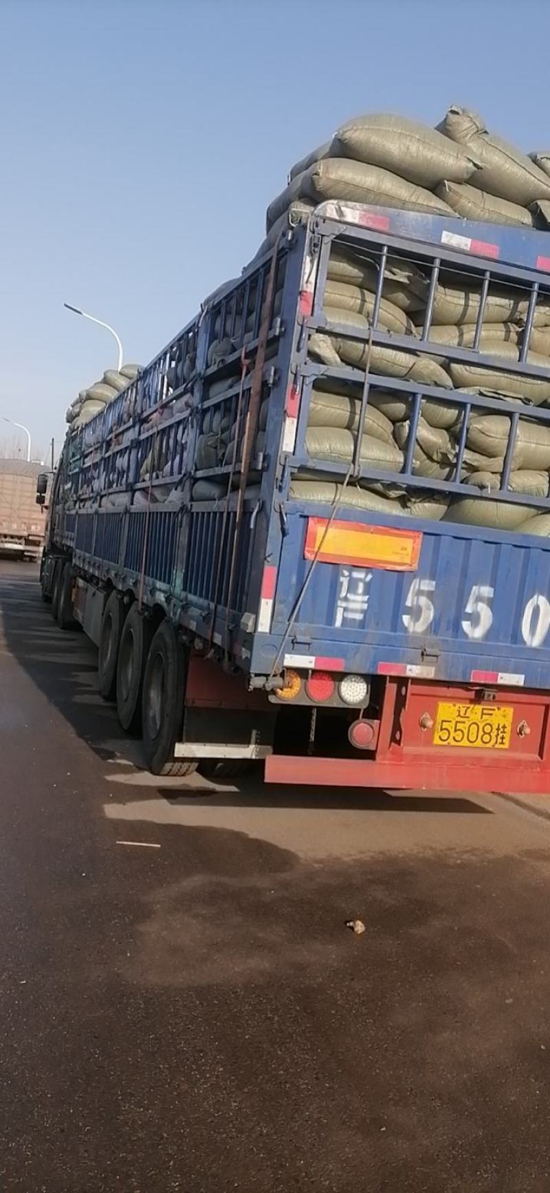 远志远志筒