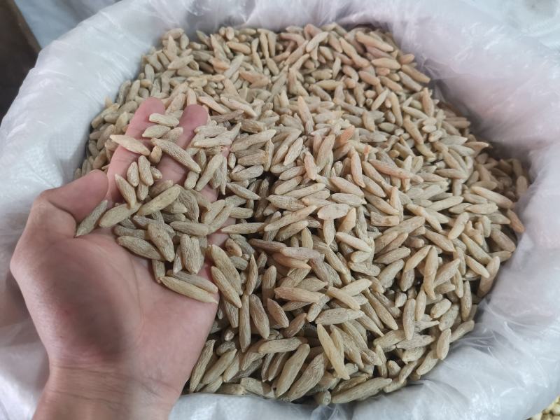 【精品】无硫麦冬无硫非常香好货基地直销批发零售