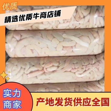 山东郓城羊肠量大从优欢迎全国老板前来考察洽谈合作