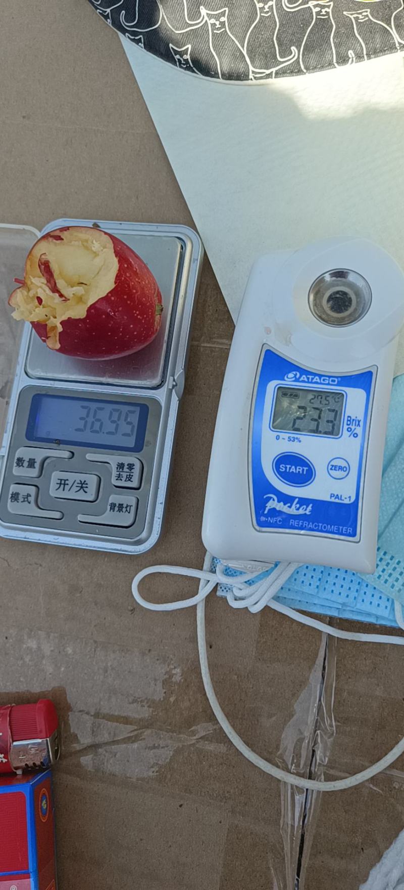 新疆产地香妃海棠开始订货，甄选佳果，芳香流溢，清脆爽口！