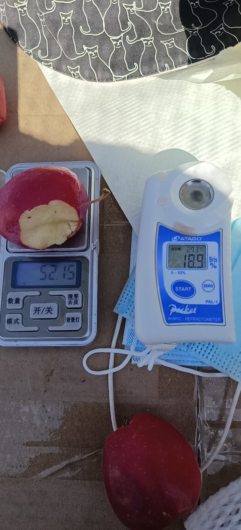 新疆产地香妃海棠开始订货，甄选佳果，芳香流溢，清脆爽口！
