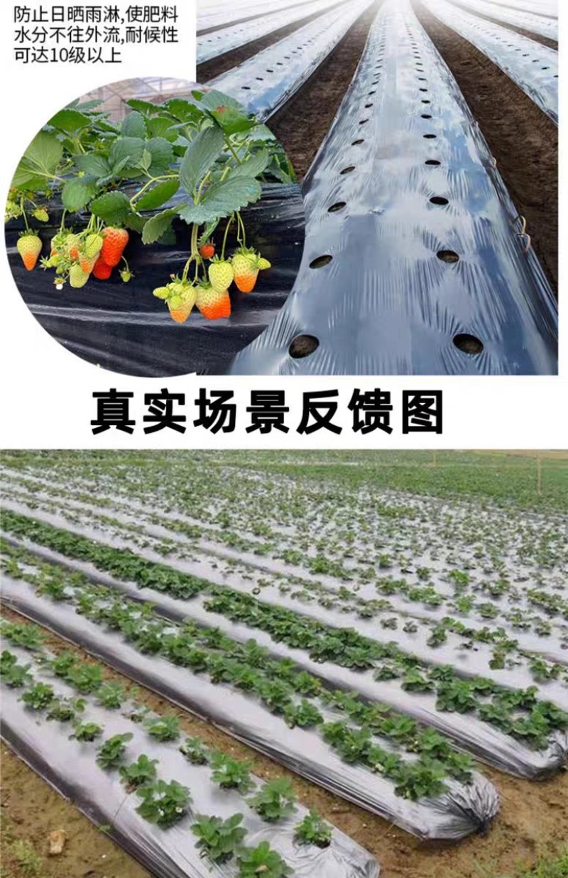 农用双色反光银黑地膜保湿移种植除草盖草果树果园大棚菜地防