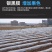 农用双色反光银黑地膜保湿移种植除草盖草果树果园大棚菜地防