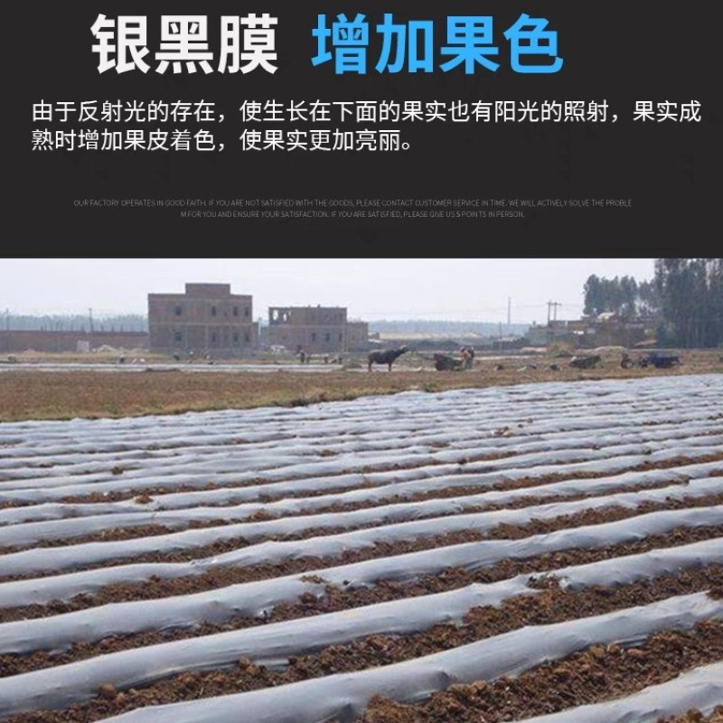 农用双色反光银黑地膜保湿移种植除草盖草果树果园大棚菜地防