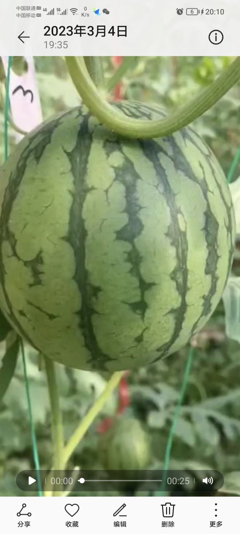 手撕小西瓜，全美2k承接电商微商全国发货