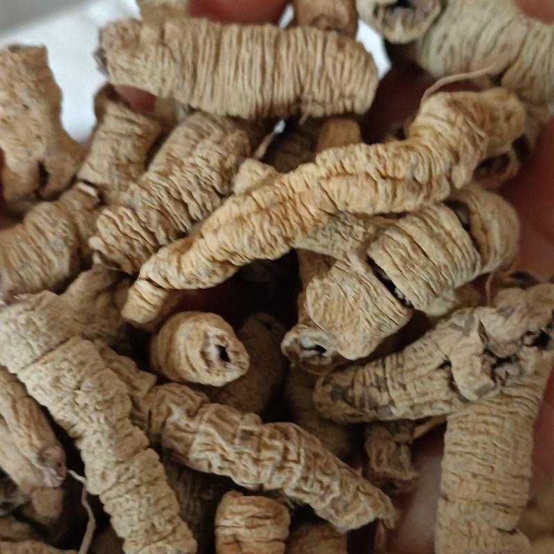 巴戟天，中药材批发，无杂质无硫，足斤足量，欢迎各位老板下