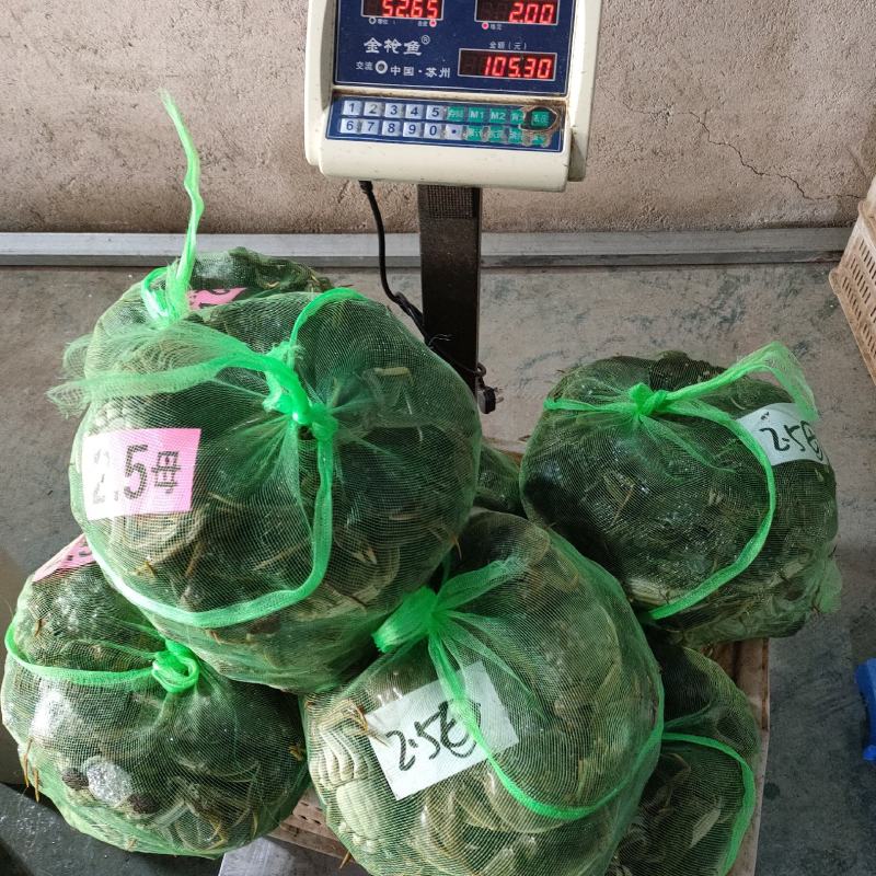 洪湖大闸蟹抢鲜上市中秋送礼佳品批发零售物流顺风都可以