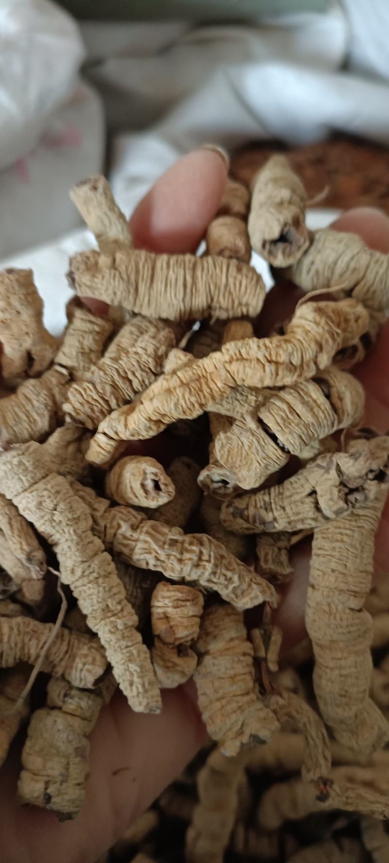 巴戟天，中药材批发，无杂质无硫，足斤足量，欢迎各位老板下