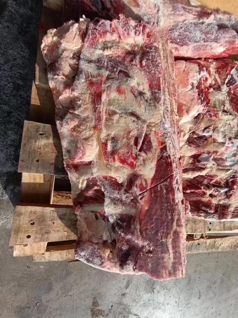 牛背骨沧州牛排骨-牛脊骨骨头小肉含量高，可代替手抓牛排骨