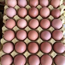 新鲜红壳鸡蛋、土鸡蛋