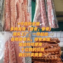 多肉龙骨