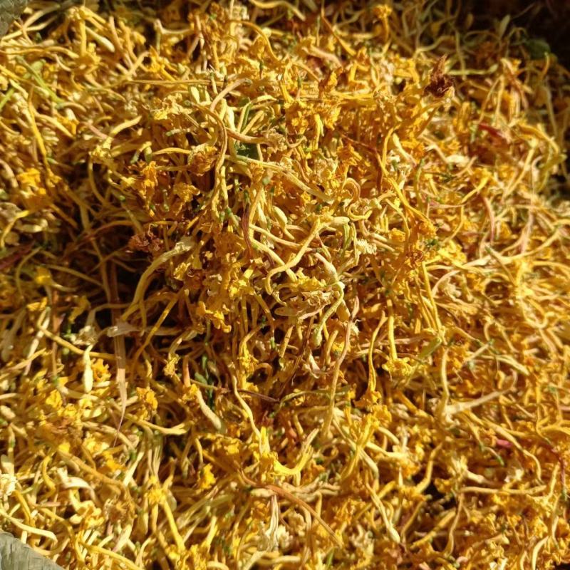 金银花，深山金银花，自然阴干，1斤包邮