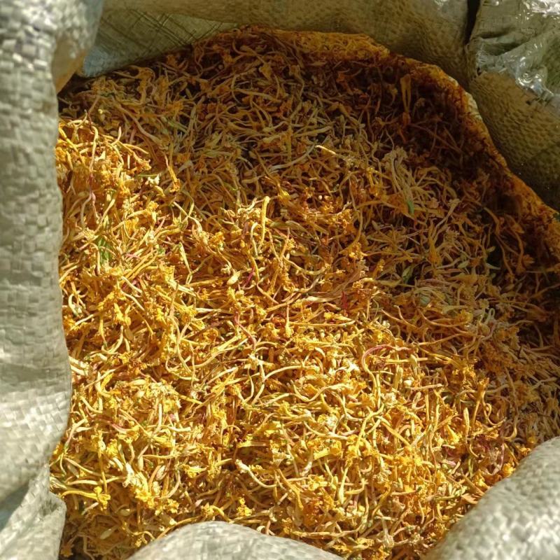 金银花，深山金银花，自然阴干，1斤包邮