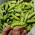老品种豌豆、白豌豆、麻豌豆，中豌，
