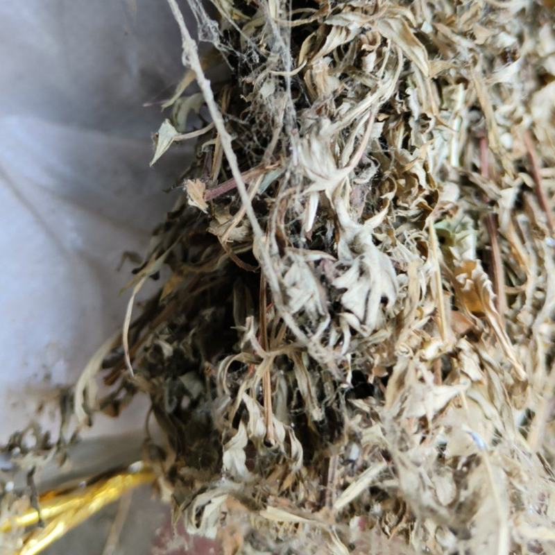 产地直销小艾叶，艾叶，大量出销中，欢迎预定，一手货源，