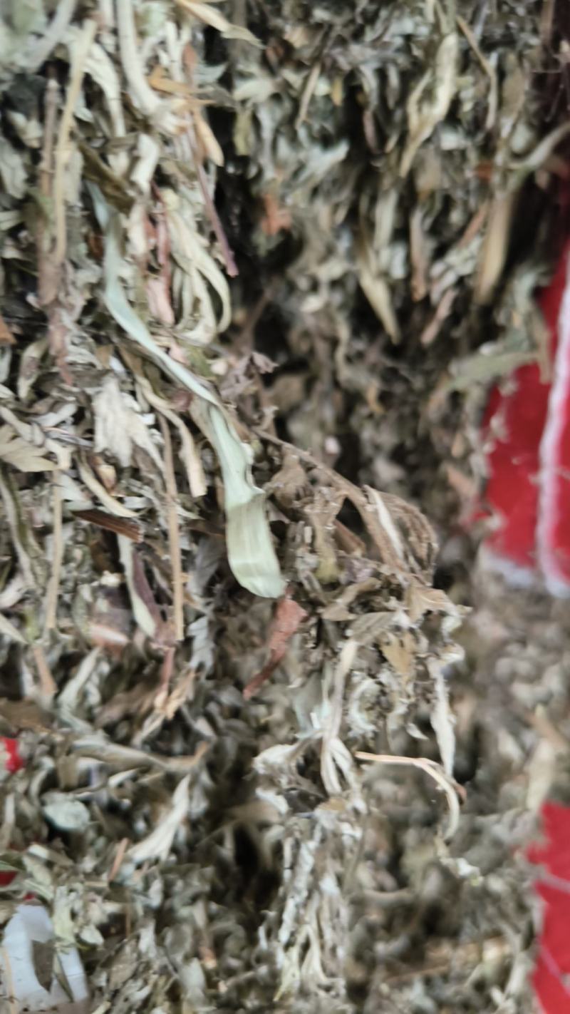 产地直销小艾叶，艾叶，大量出销中，欢迎预定，一手货源，