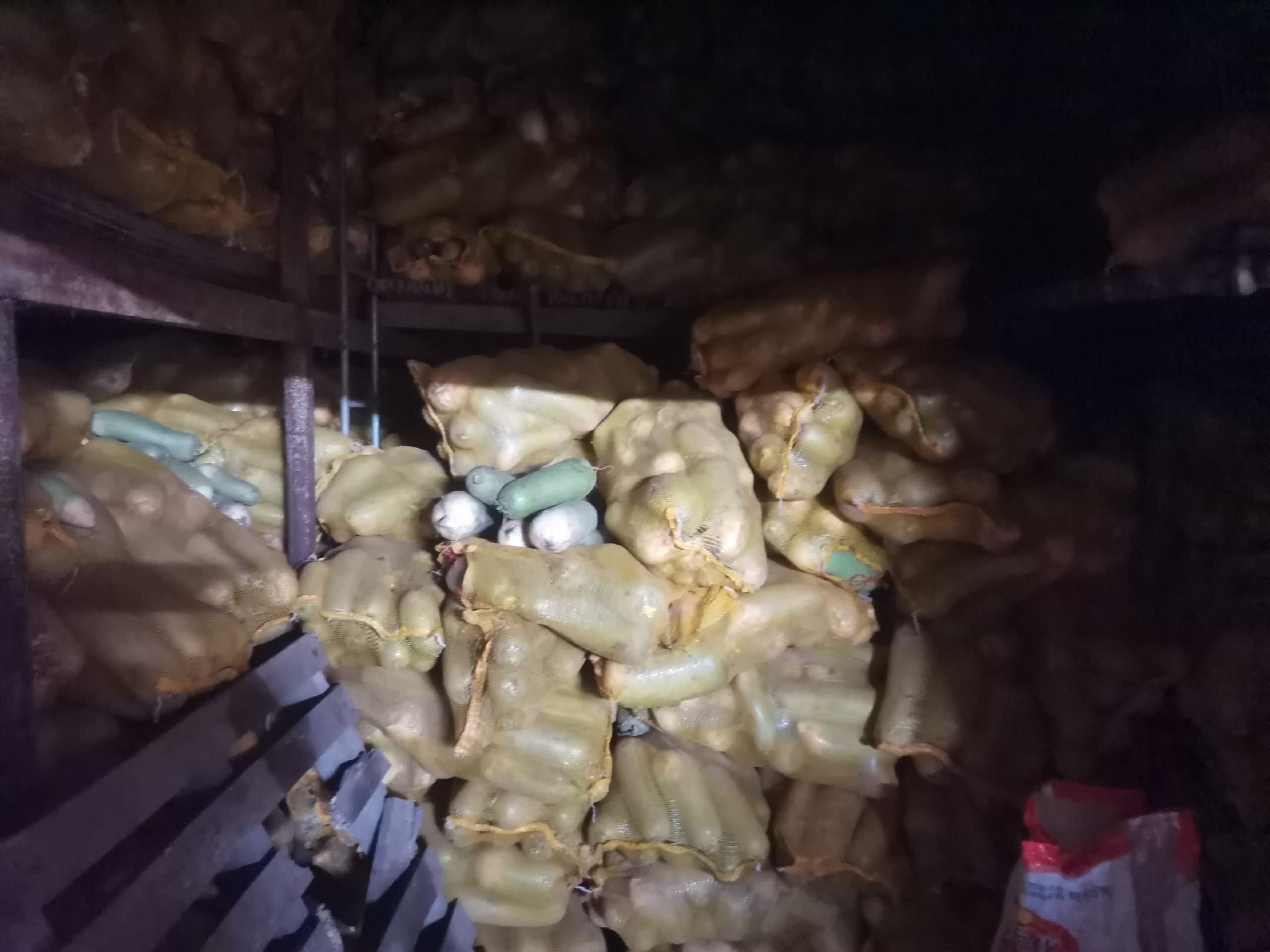 青萝卜市场销售图