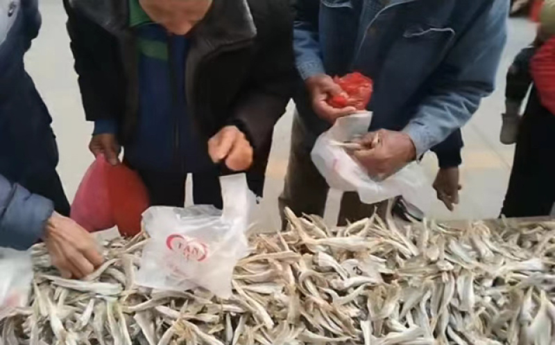 肉角鱼干展会地摊淡干肉角鱼干红娘鱼鲈鱼沙丁鱼