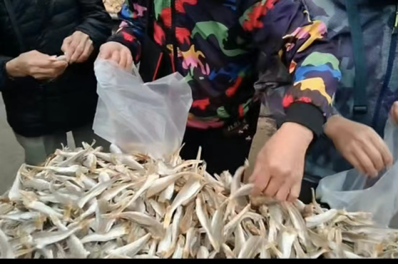 肉角鱼干展会地摊淡干肉角鱼干红娘鱼鲈鱼沙丁鱼