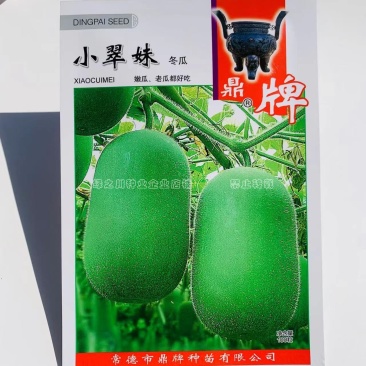鼎牌小翠妹迷你冬瓜种子嫩瓜老瓜两用一串铃冬瓜种籽早熟
