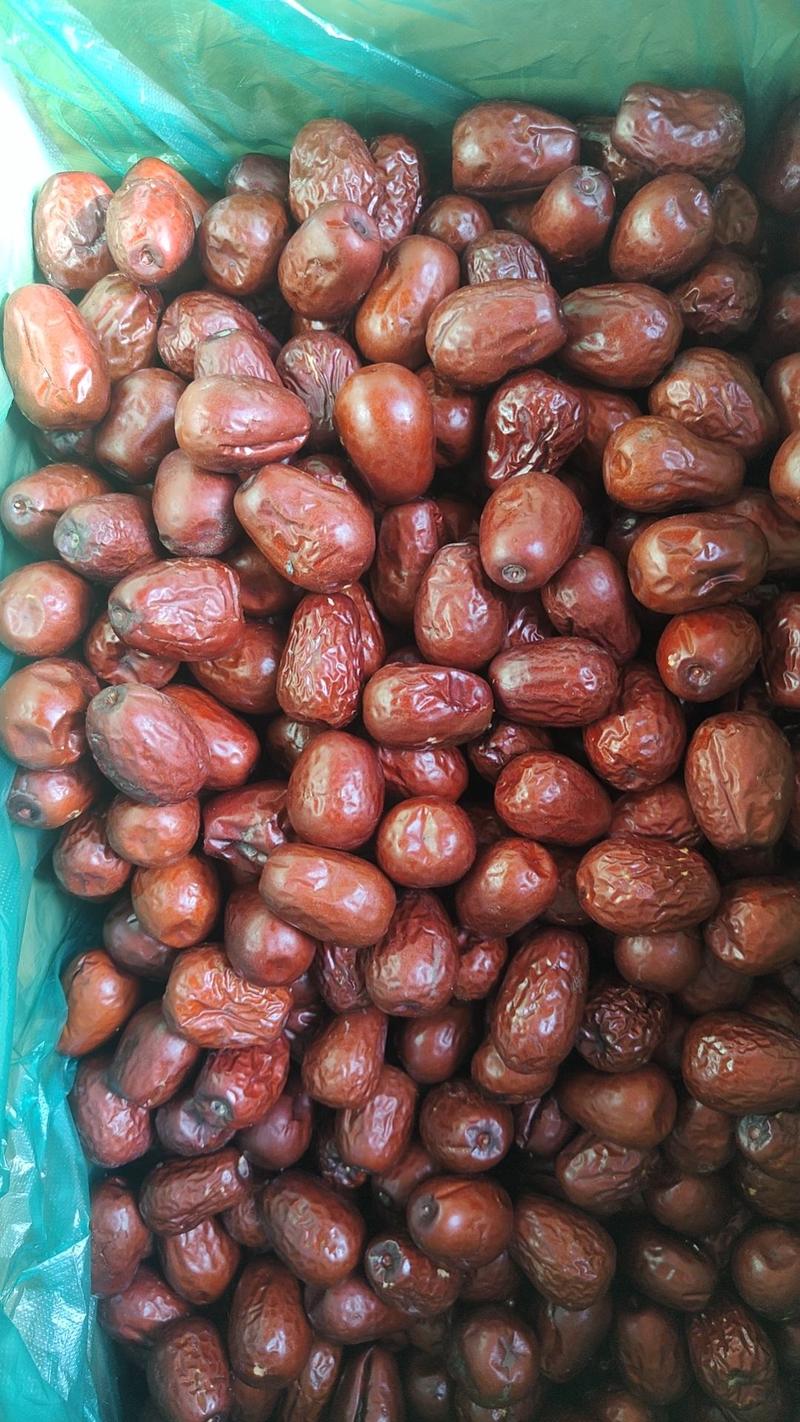 新疆红枣-骏枣批发价新疆博乐红枣保质保量量大优惠