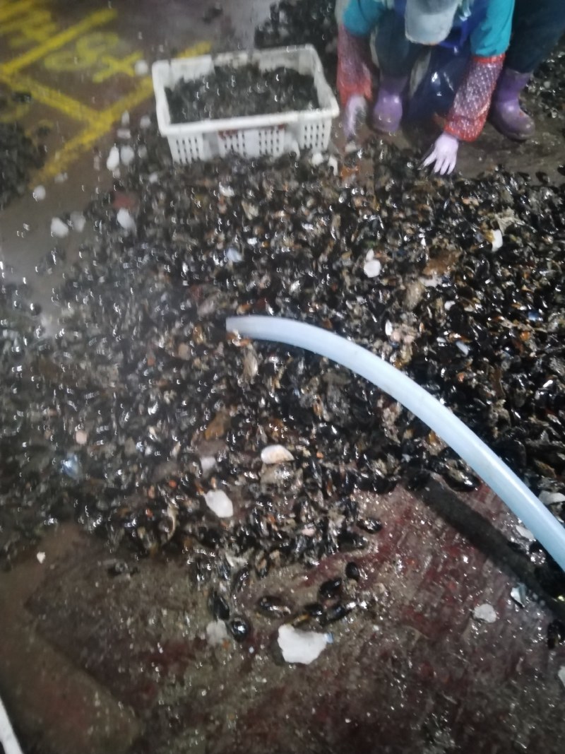 海虹