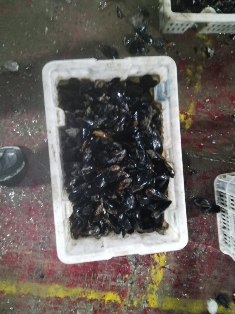海虹