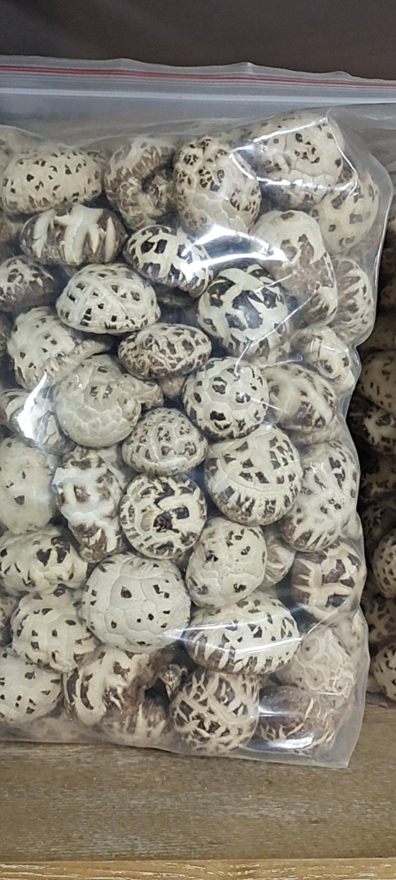 大家好、我是泌阳胡琴、介绍下我家特产、冬花菇、规格齐全、