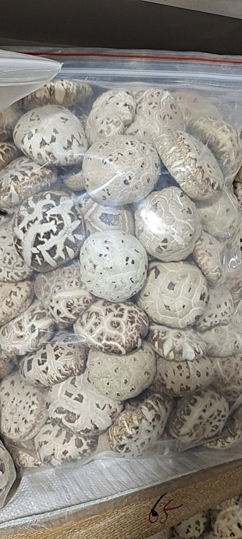 大家好、我是泌阳胡琴、介绍下我家特产、冬花菇、规格齐全、