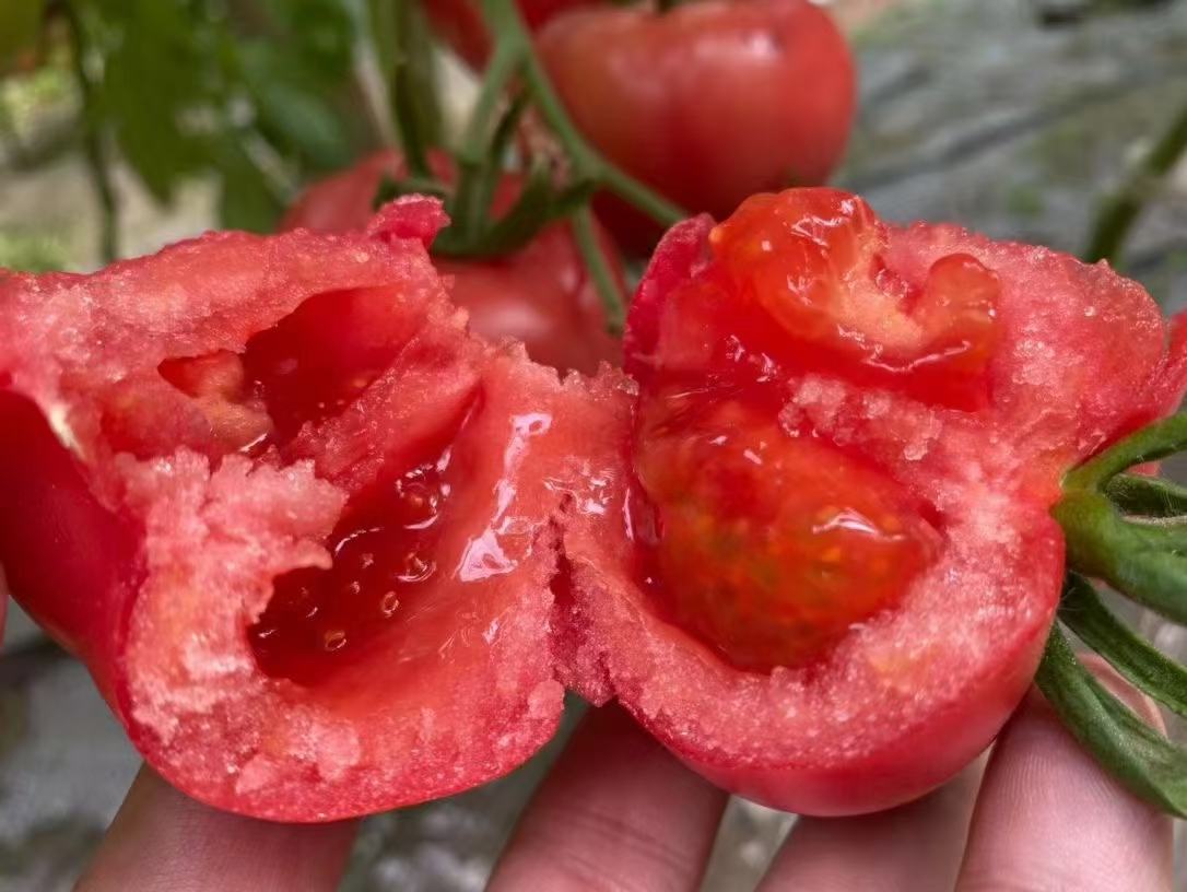 展示普罗旺斯西红柿主要营养成分的柱状图,包括维生素C、番茄红素、钾、膳食纤维等数据 普罗旺斯西红柿营养成分图表