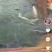出售螺丝青鱼10-20斤