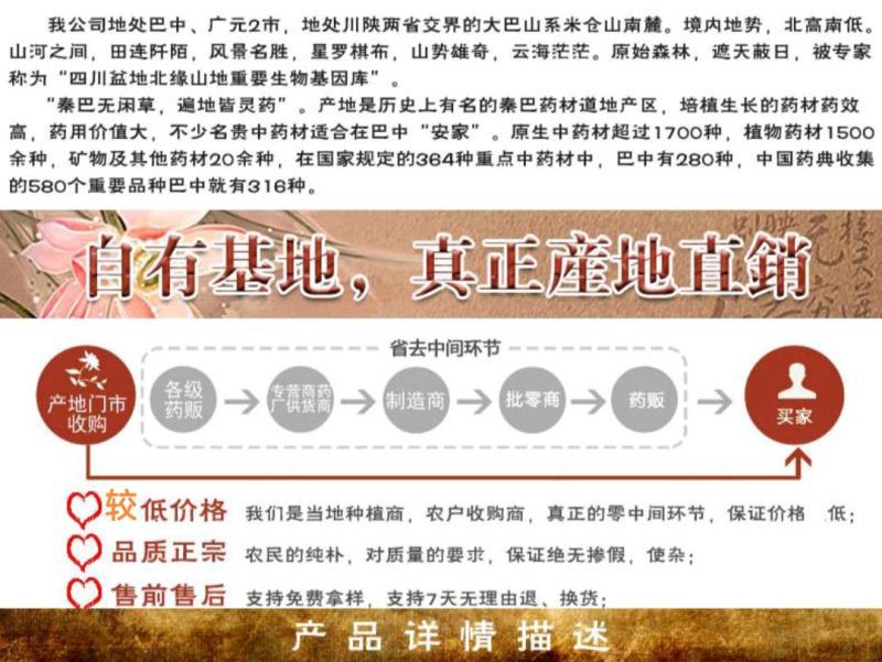 苕叶细辛(马蹄细辛，大叶马蹄香)，全草带根统货，味浓性足