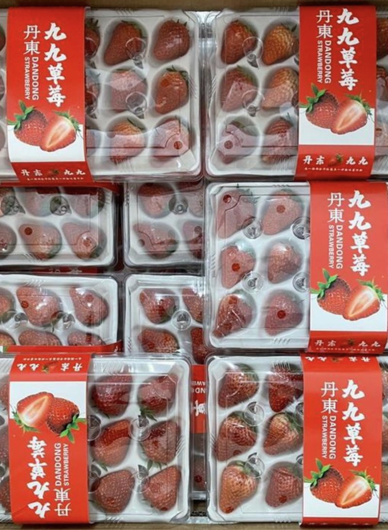 丹东红颜九九草莓防摔水晶胶盒礼盒，产地直发假一赔十！