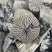 荔枝龙眼实木炭，四方包，大块炭无碎碳无水份，高热量