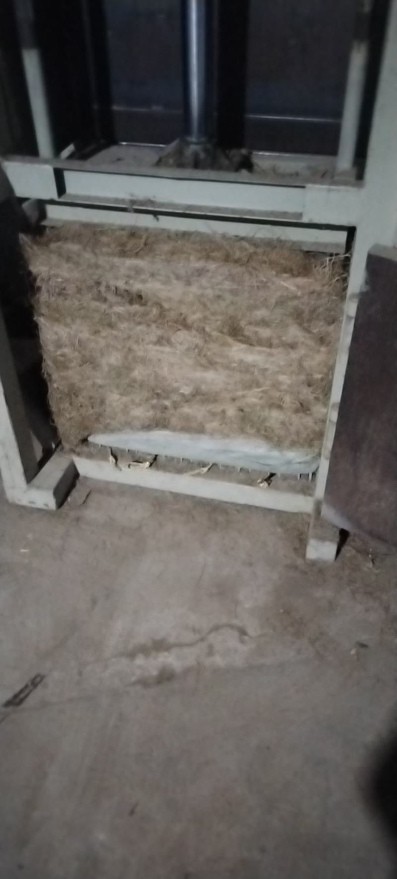 兰花参