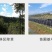 安道麦一世闲41%草甘膦异丙胺盐烂根杂草果园除草剂