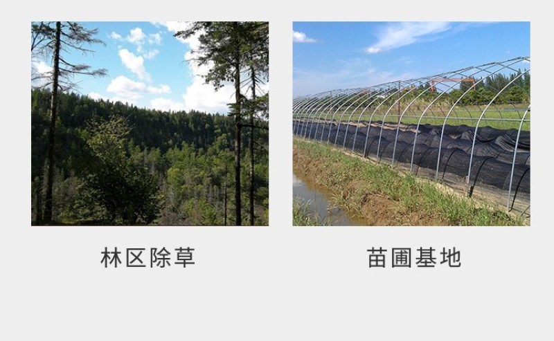 安道麦一世闲41%草甘膦异丙胺盐烂根杂草果园除草剂