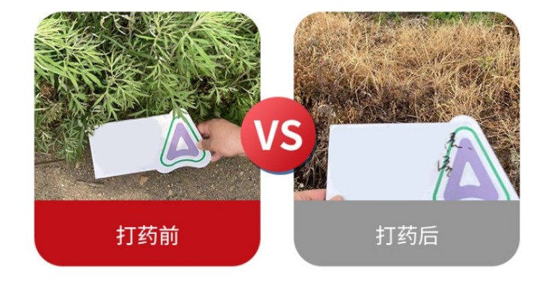 安道麦一世闲41%草甘膦异丙胺盐烂根杂草果园除草剂